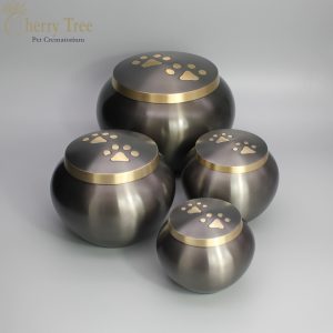 Grey Blenheims 2-1