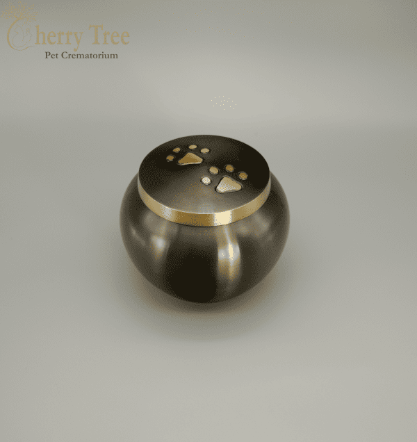 Blenheim Grey & Gold - Image 9