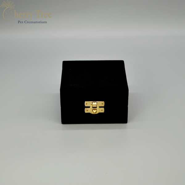 Brass Hearts 1 Brass Hearts 1