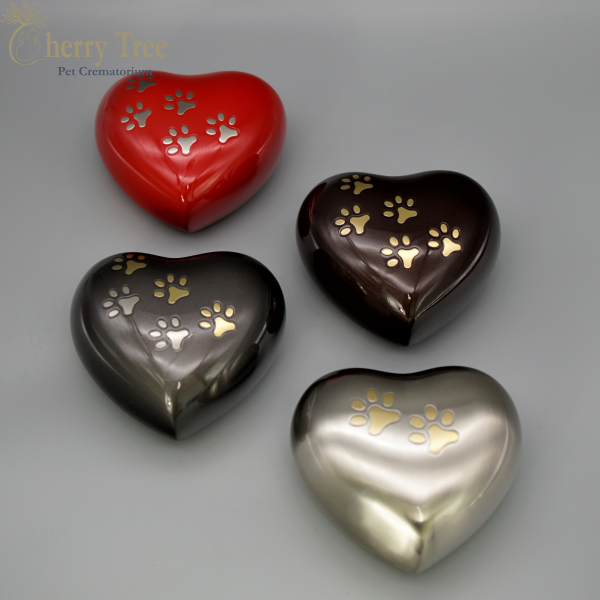 Brass Hearts Medium 1 Brass Hearts Medium 1