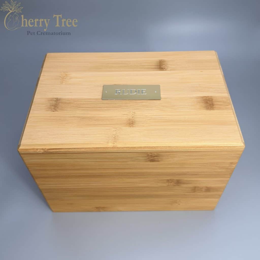 Eco Bamboo Casket (Extra Large)