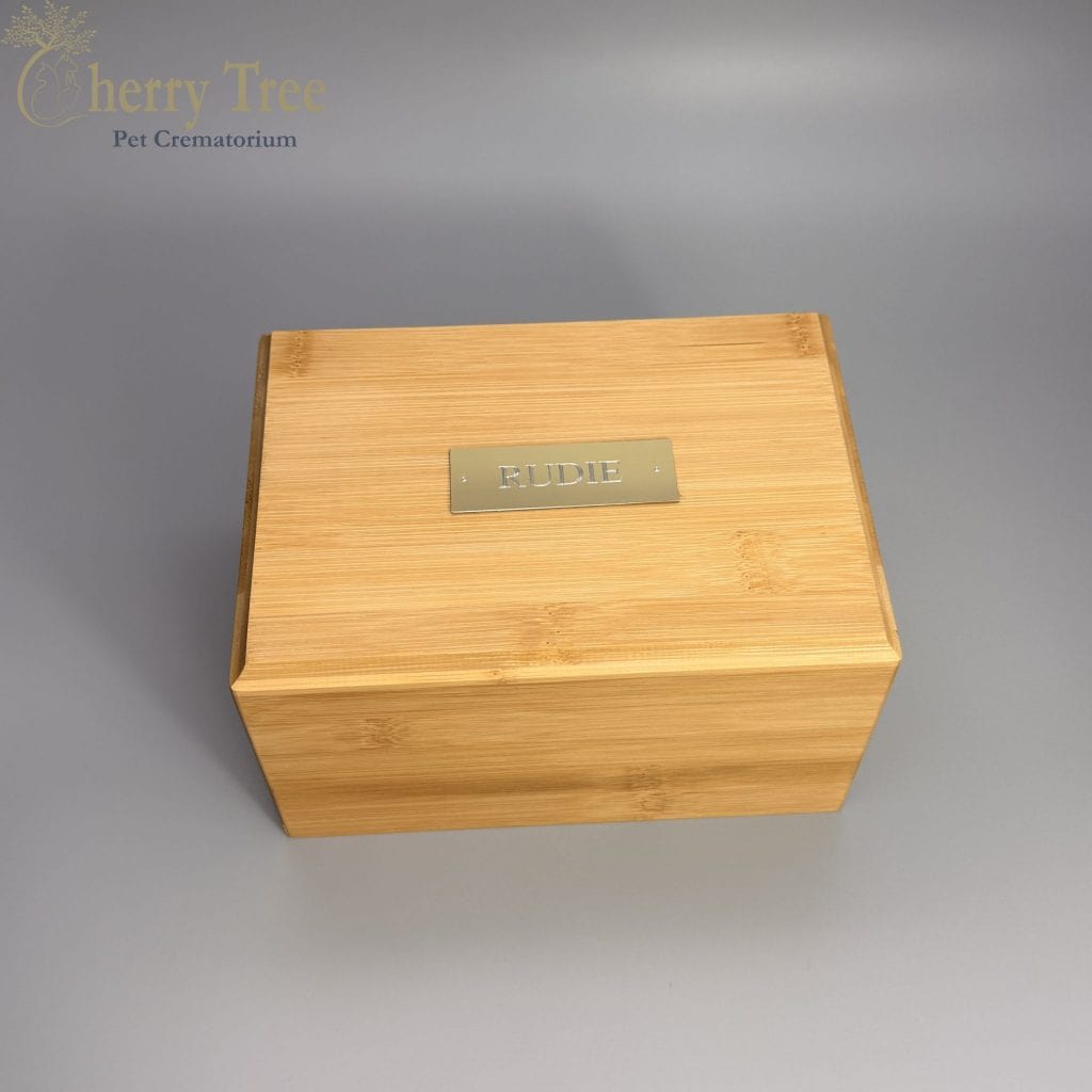 Eco Bamboo Casket (Medium)