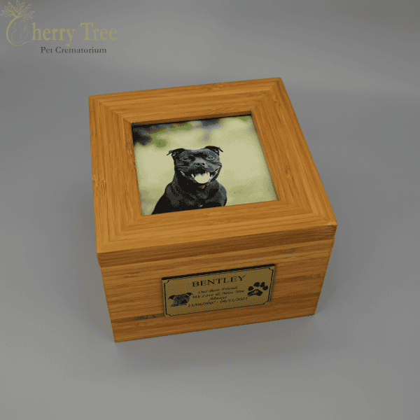 Laser Engraved Plaque Examples 0 Laser Engraved Plaque Examples 0