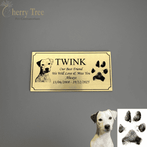 Laser Plaque Name Picture Dates Paw 1.1 Laser Plaque Name Picture Dates Paw 1.1