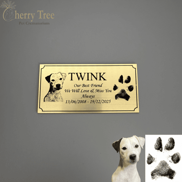 Laser Plaque Name Picture Dates Paw 1.1 Laser Plaque Name Picture Dates Paw 1.1