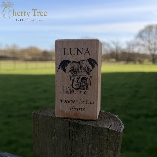 Tealight Laser Engraving 8 Tealight Laser Engraving 8