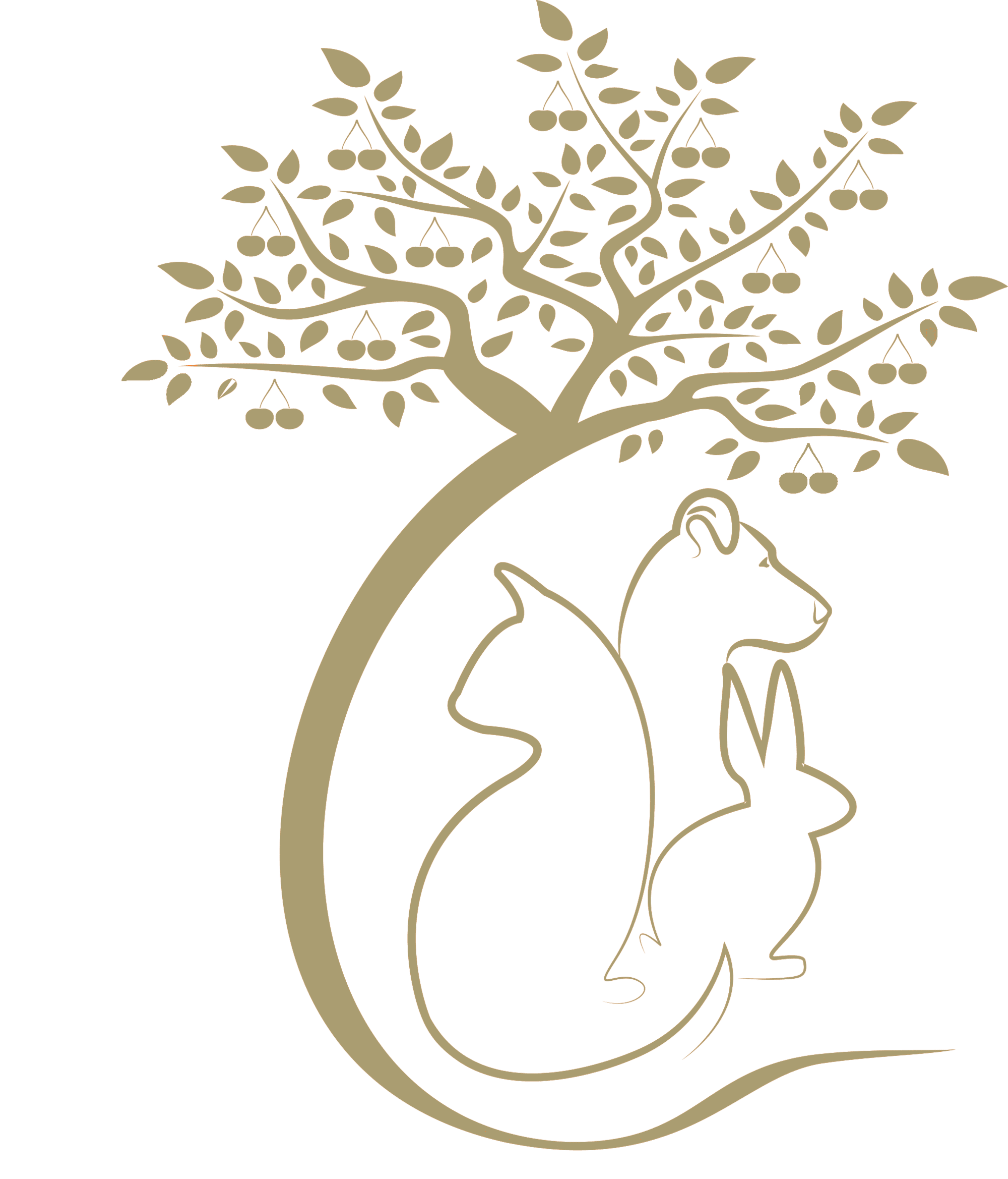 Cherry Tree Pet Crematorium, pet cremation kent, pet crematorium kent, pet cremation south east, pet crematorium south east, individual pet cremation, animal cremation, cat cremation, dog cremation, pet ashes, trusted pet cremation, professional pet crematorium, family run crematorium,