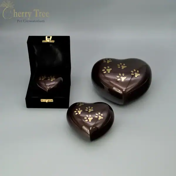 Brass Hearts 1-web-3685be2e Brass Hearts 1-web-3685be2e