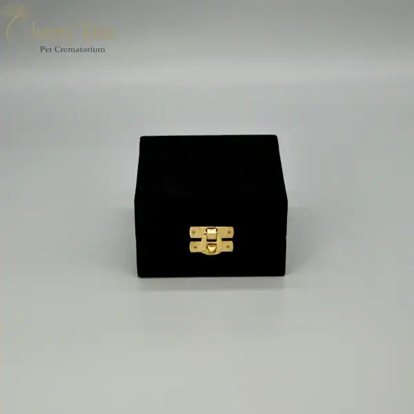 Brass Hearts 1-web-63e6f54c Brass Hearts 1-web-63e6f54c