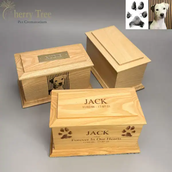 Casket Laser Engraving 19.1 -web-7c07d069 Casket Laser Engraving 19.1 -web-7c07d069