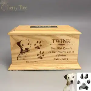Casket Laser Engraving 20.1 -web-d3162ed4 Casket Laser Engraving 20.1 -web-d3162ed4