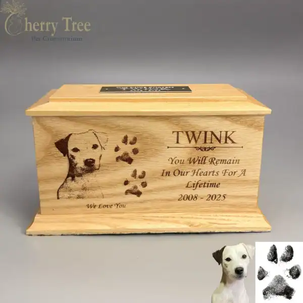 Casket Laser Engraving 20.1 -web-d3162ed4 Casket Laser Engraving 20.1 -web-d3162ed4