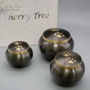 Grey Blenheims 10-web-ae1a6828