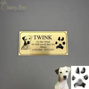 Laser Plaque Name Picture Dates Paw 1.1 -web-c761b363 Laser Plaque Name Picture Dates Paw 1.1 -web-c761b363
