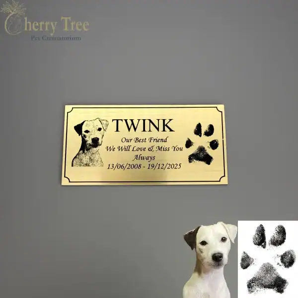 Laser Plaque Name Picture Dates Paw 1.1 -web-c761b363 Laser Plaque Name Picture Dates Paw 1.1 -web-c761b363