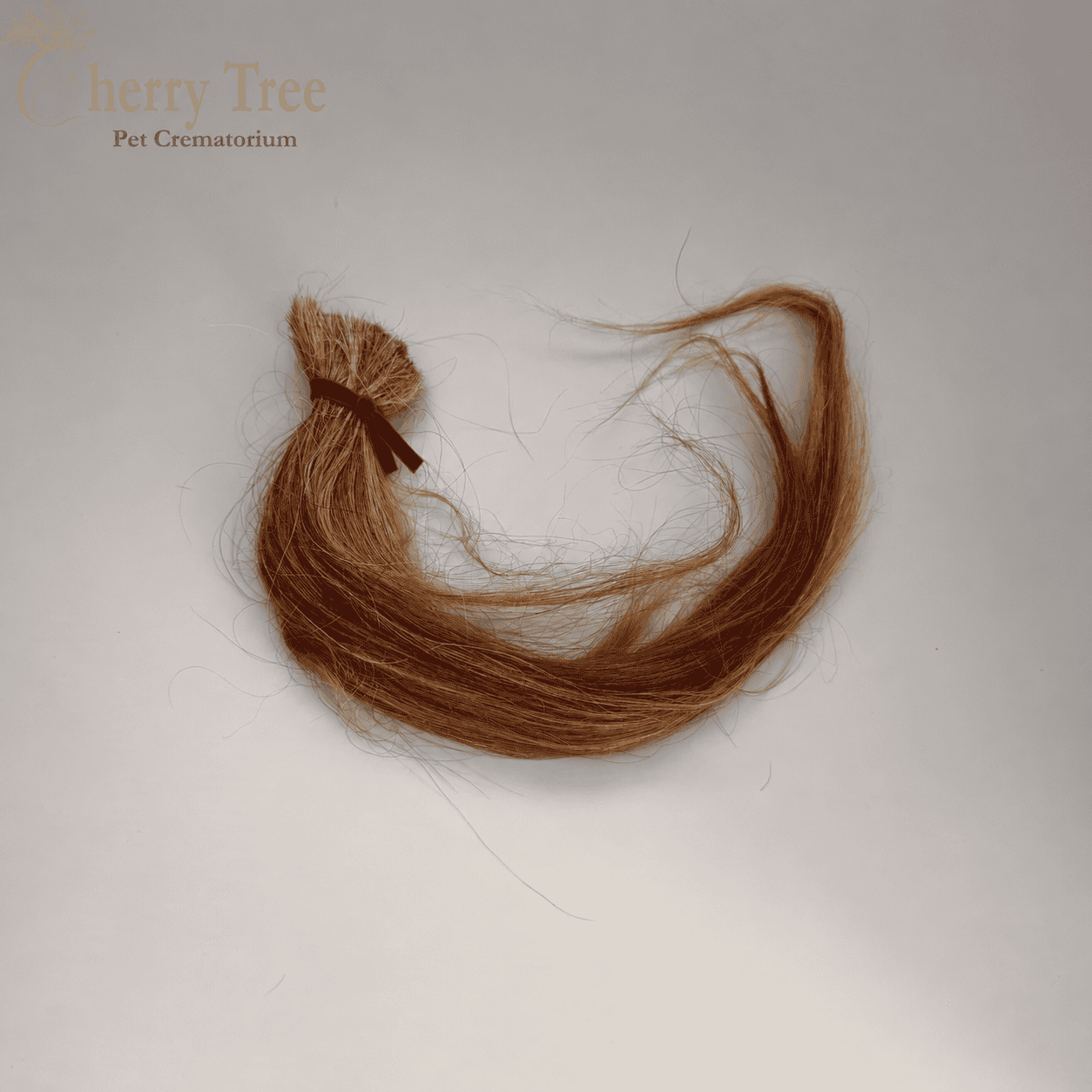 Mane Cutting