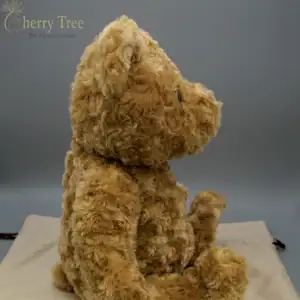 Memory Bear 5-web-1f1d1389 Memory Bear 5-web-1f1d1389