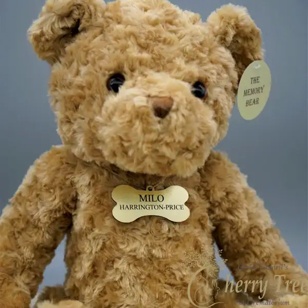 Memory Bear Ribbon 2-web-44a1aa07 Memory Bear Ribbon 2-web-44a1aa07