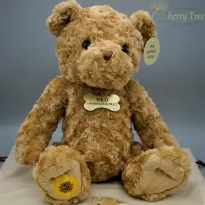 Memory Bear Ribbon 3-web-b01b9377 Memory Bear Ribbon 3-web-b01b9377
