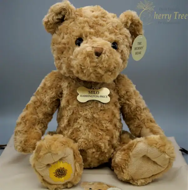 Memory Bear Ribbon 3-web-b01b9377 Memory Bear Ribbon 3-web-b01b9377