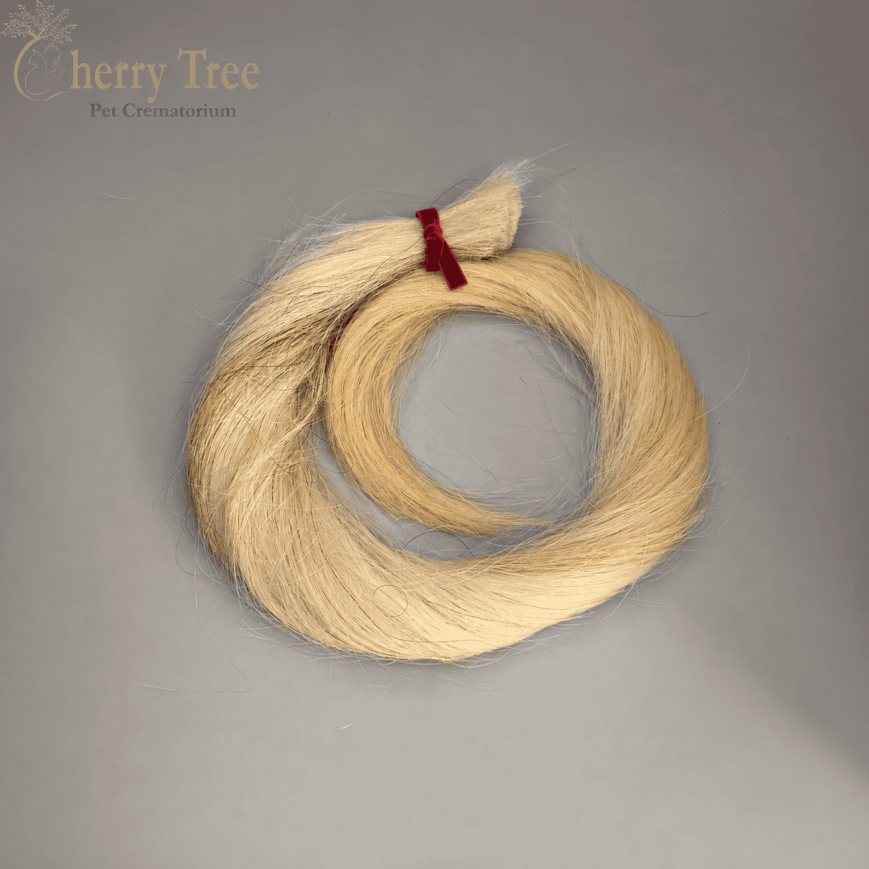 Tail Cutting